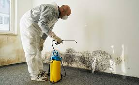 Best Asbestos and Lead Testing During Mold Inspection in USA